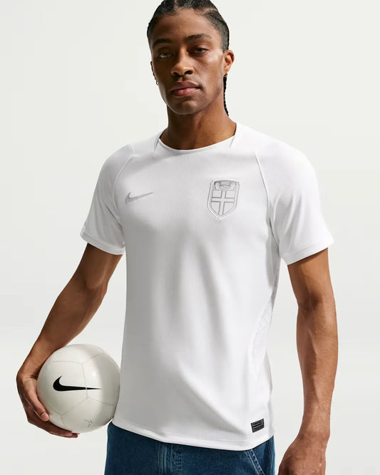 Norway 2026 Stadium Third Men's Nike Dri-FIT Football Replica Shirt