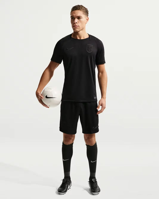 Norway 2026 Stadium Away Men's Nike Soccer Dri-FIT Replica Shorts