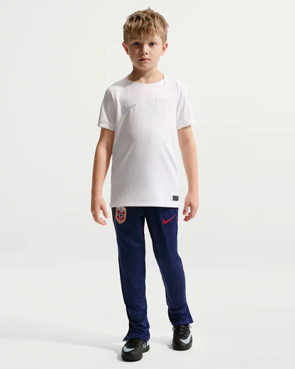 Norway 2026 Stadium Third Older Kids' Nike Dri-FIT Football Replica Shirt